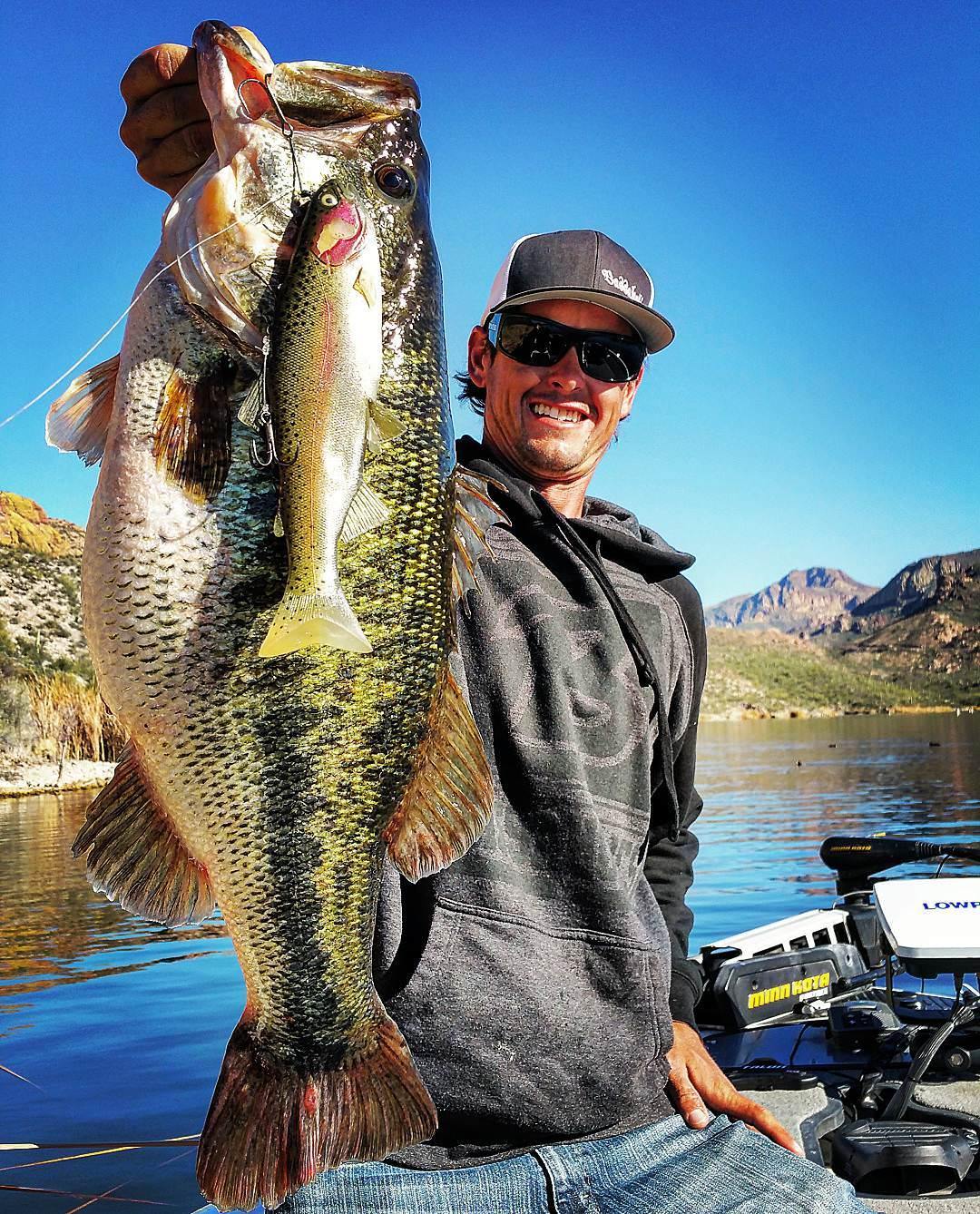 Arizona Bass Fishing Guides Bassaholics Arizona Bass Fishing Guides Bassaholics